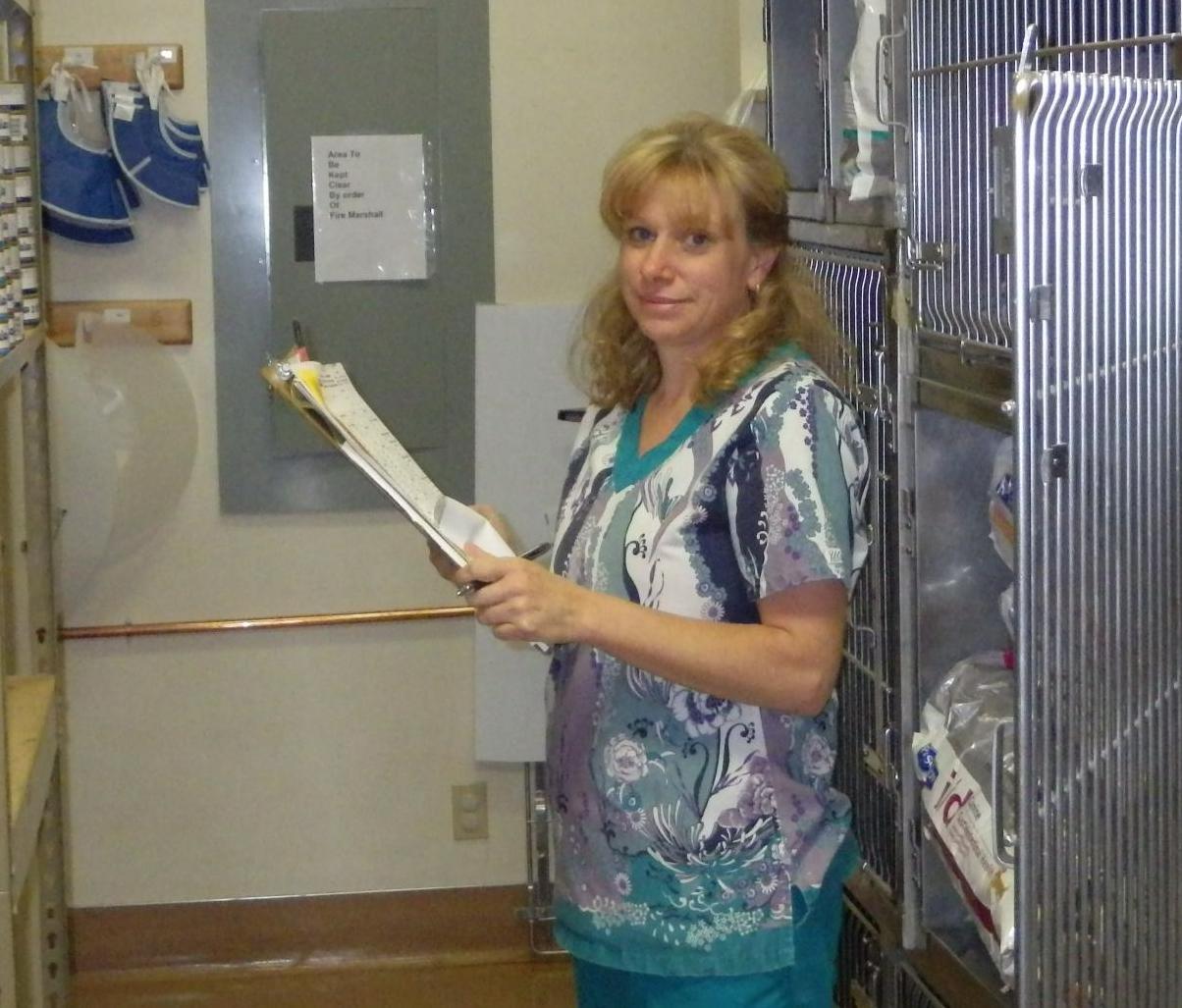 Mt Bachelor Vet Hospital Bend Or Central Oregon 97702